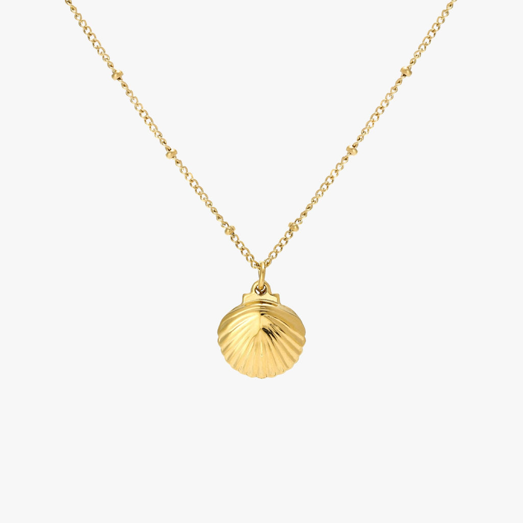 Seashell Necklace