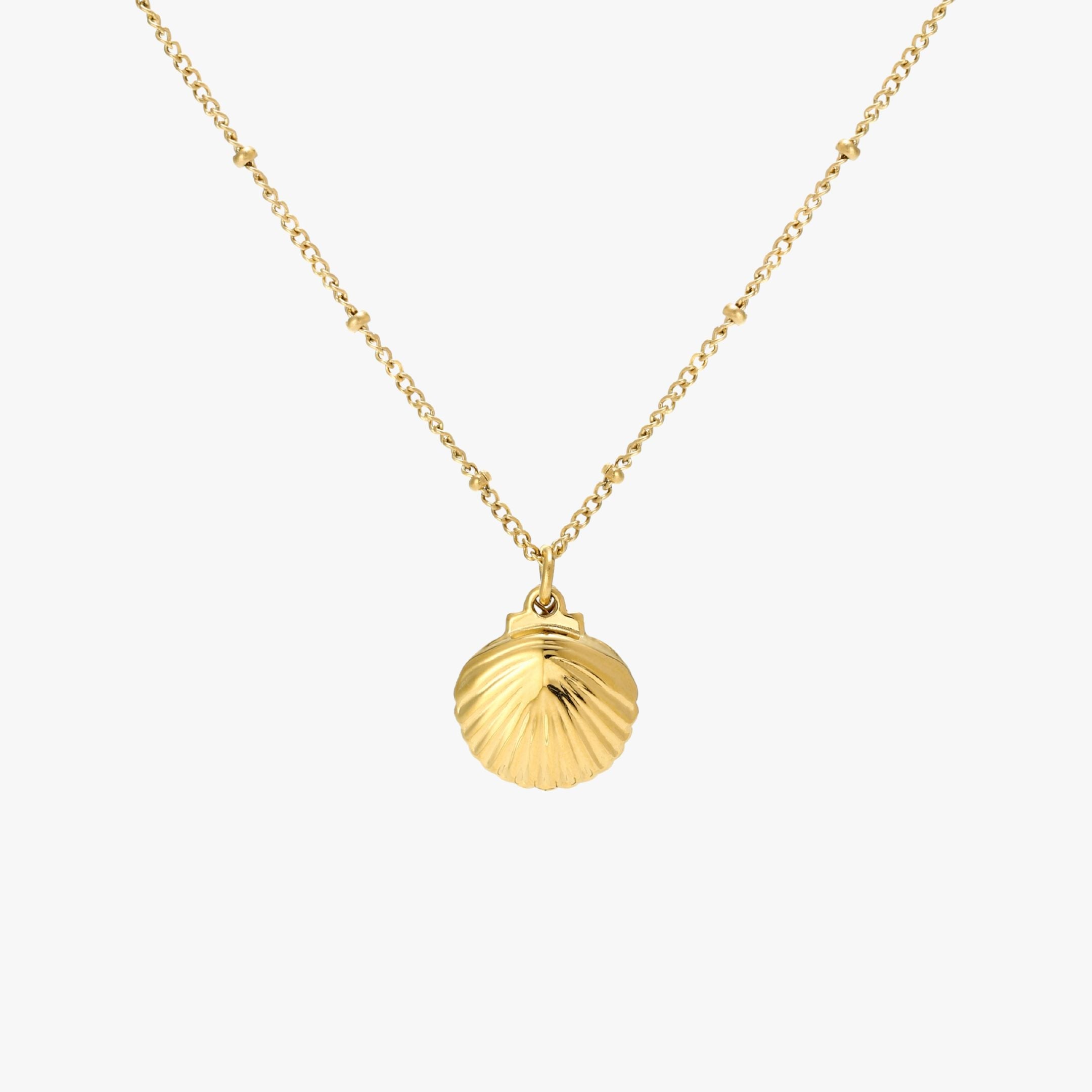 Seashell Necklace